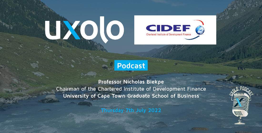 CIDEF's Professor Nicholas Biekpe on the academic support of development finance