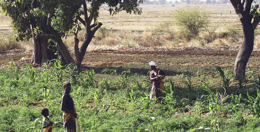 Africa agri trade: Are lenders’ risk perceptions misplaced?